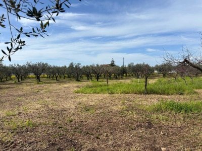 terreno agricolo in vendita a Pontecagnano Faiano
