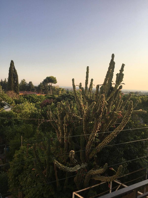 appartamento in vendita a Pontecagnano Faiano