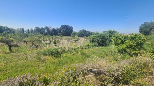 terreno agricolo in vendita a Pontecagnano Faiano