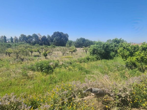 terreno agricolo in vendita a Pontecagnano Faiano