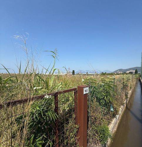 terreno agricolo in vendita a Pontecagnano Faiano