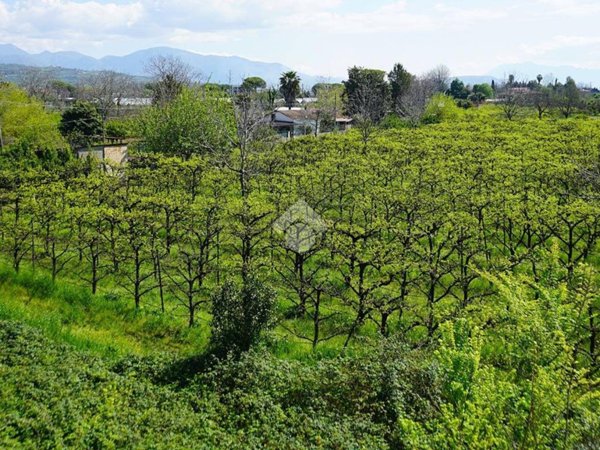 terreno agricolo in vendita a Pontecagnano Faiano