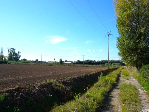 terreno agricolo in vendita a Pontecagnano Faiano in zona Magazzeno