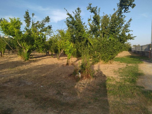 terreno agricolo in vendita a Pontecagnano Faiano