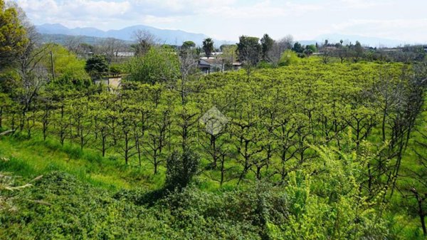 terreno agricolo in vendita a Pontecagnano Faiano
