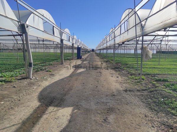 casale in vendita a Pontecagnano Faiano