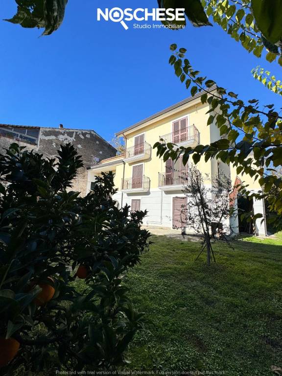 esavano in vendita a Pontecagnano Faiano