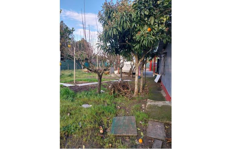 terreno agricolo in vendita a Pontecagnano Faiano in zona Sant'Antonio