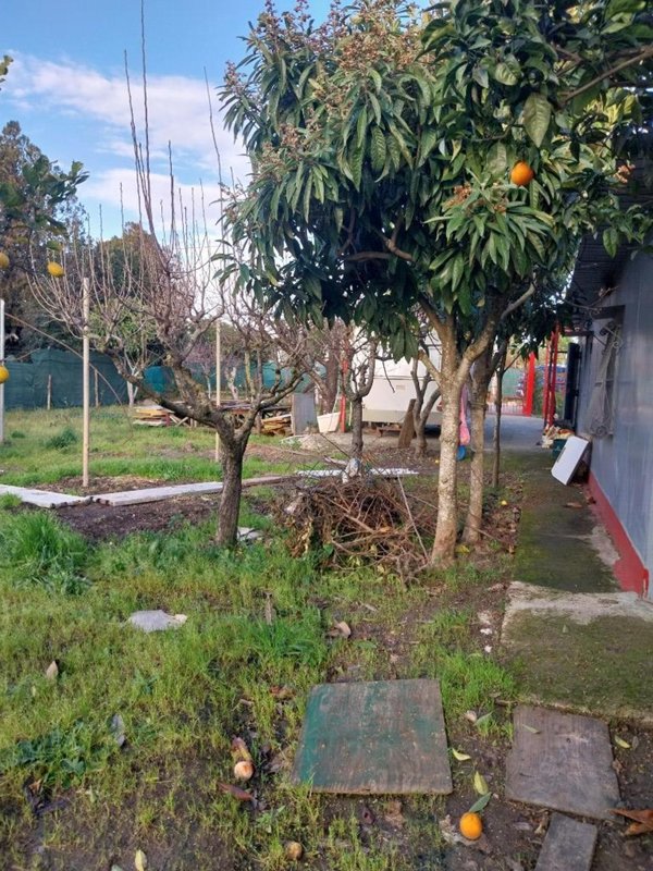 terreno agricolo in vendita a Pontecagnano Faiano in zona Sant'Antonio