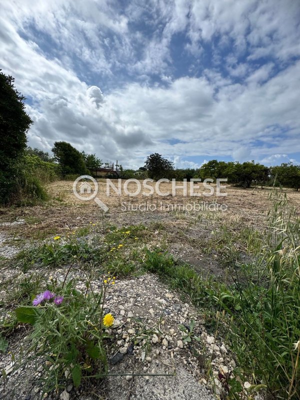 terreno agricolo in vendita a Pontecagnano Faiano