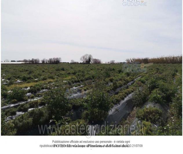 terreno agricolo in vendita a Pontecagnano Faiano