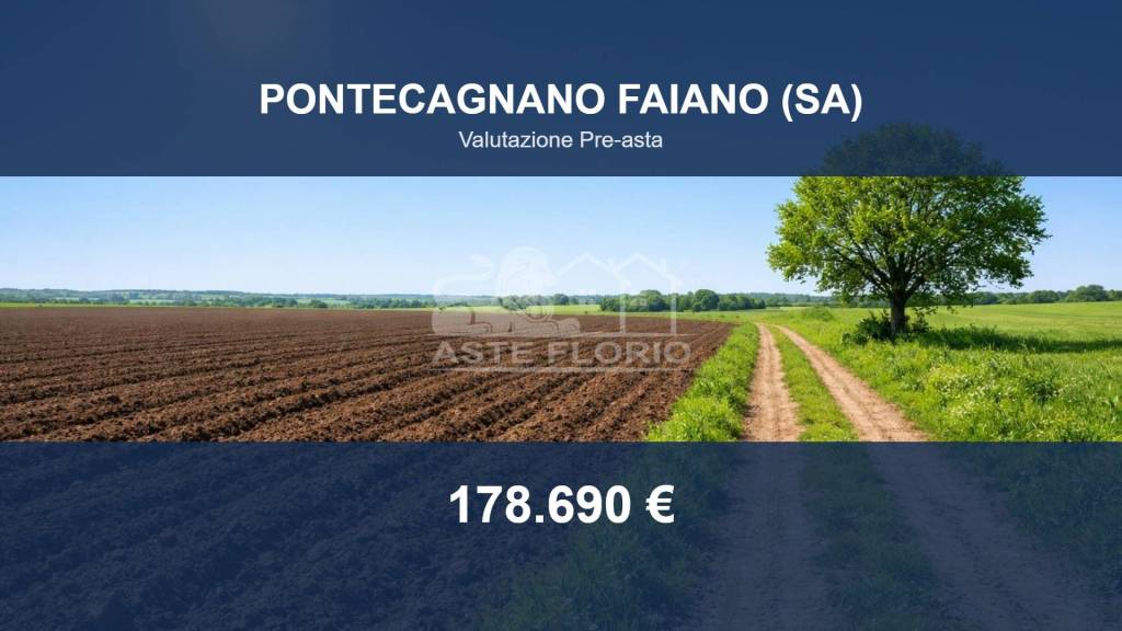 terreno agricolo in vendita a Pontecagnano Faiano