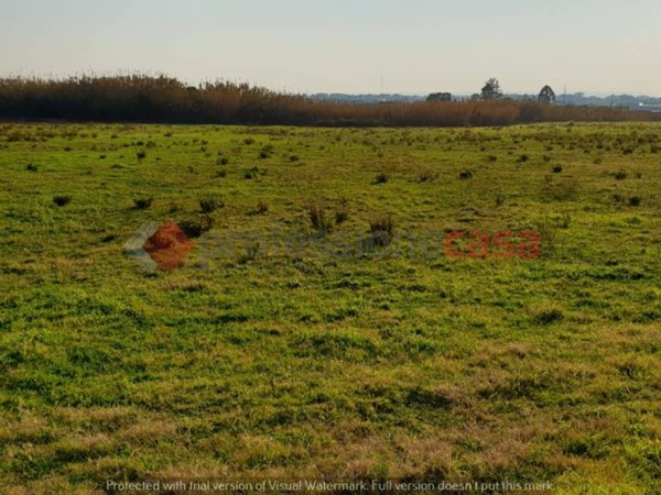 terreno agricolo in vendita a Pontecagnano Faiano