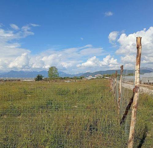 terreno agricolo in vendita a Pontecagnano Faiano
