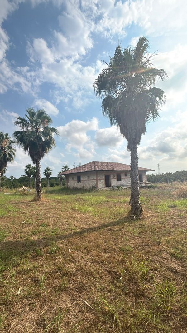esavano in vendita a Pontecagnano Faiano