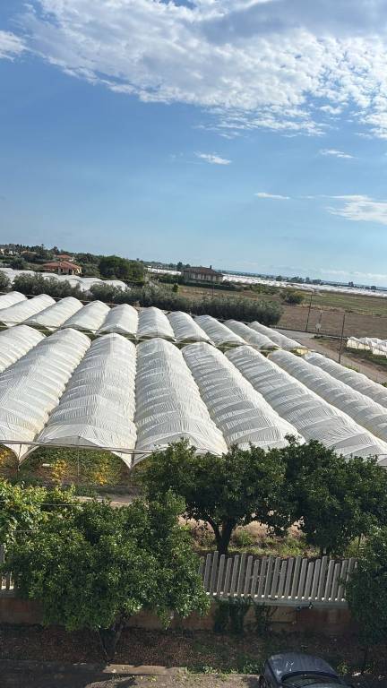 terreno agricolo in vendita a Pontecagnano Faiano