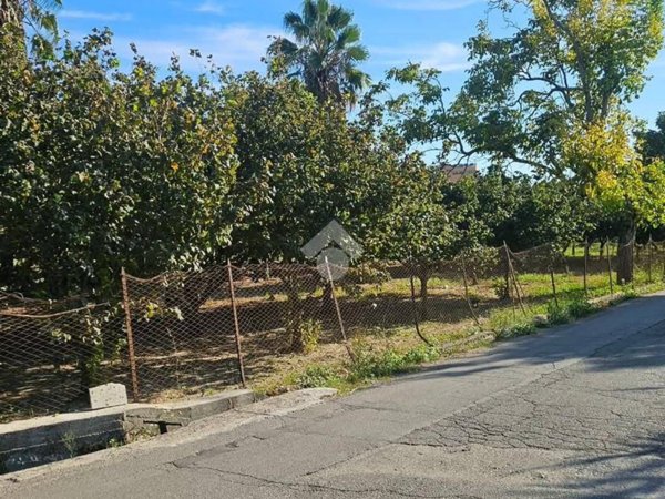 terreno agricolo in vendita a Pontecagnano Faiano