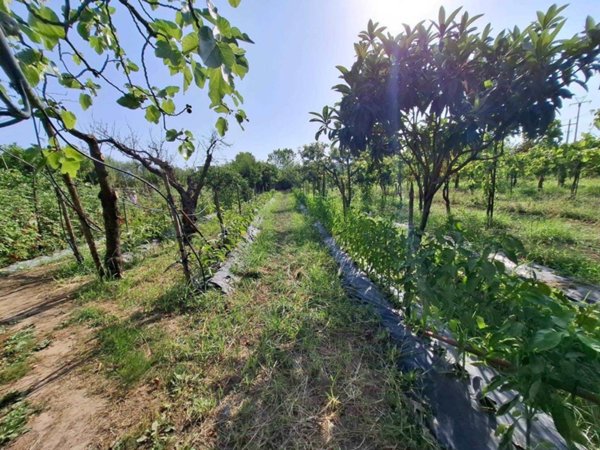 appartamento in vendita a Pontecagnano Faiano in zona Magazzeno