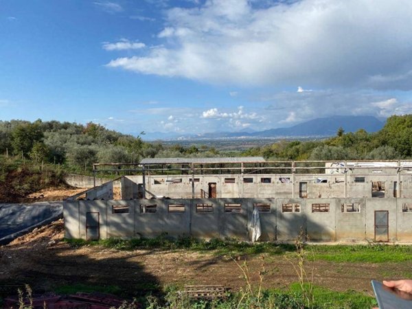 azienda agricola in vendita a Postiglione in zona Canneto