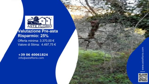 terreno agricolo in vendita a Postiglione