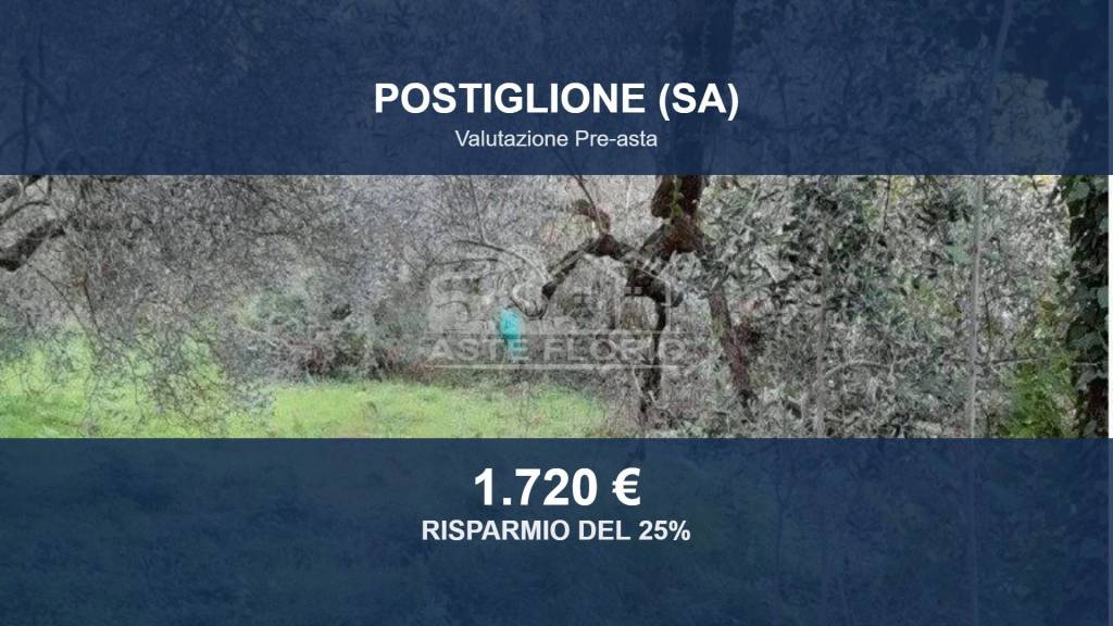terreno agricolo in vendita a Postiglione