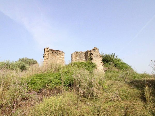 terreno agricolo in vendita a Prignano Cilento