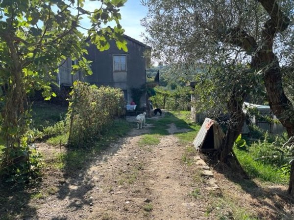 quadrivano in vendita a Prignano Cilento