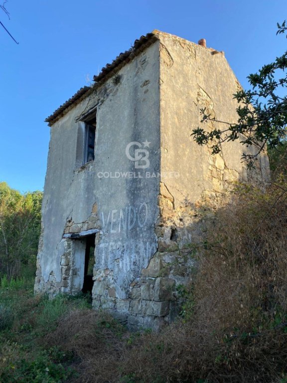 terreno agricolo in vendita a Prignano Cilento