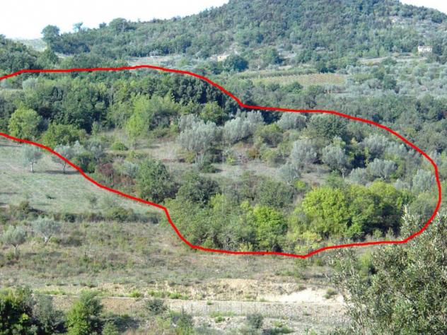 terreno agricolo in vendita a Prignano Cilento