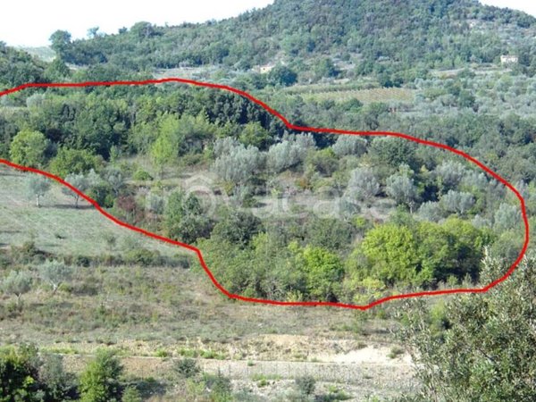 terreno agricolo in vendita a Prignano Cilento
