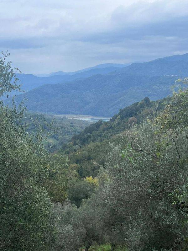 immagine annuncio 0 di 5