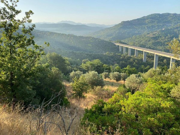 terreno agricolo in vendita a Prignano Cilento