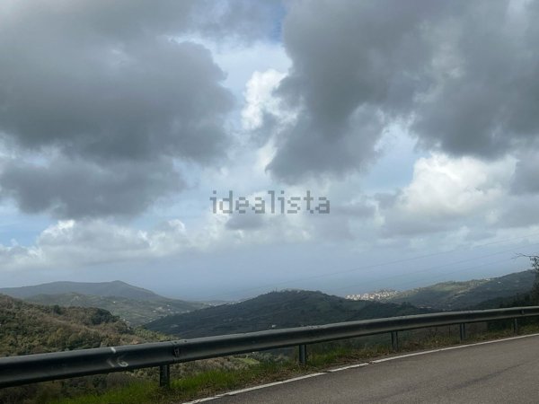 terreno agricolo in vendita a Prignano Cilento