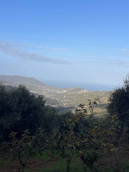 appartamento in vendita a Prignano Cilento in zona San Giuliano