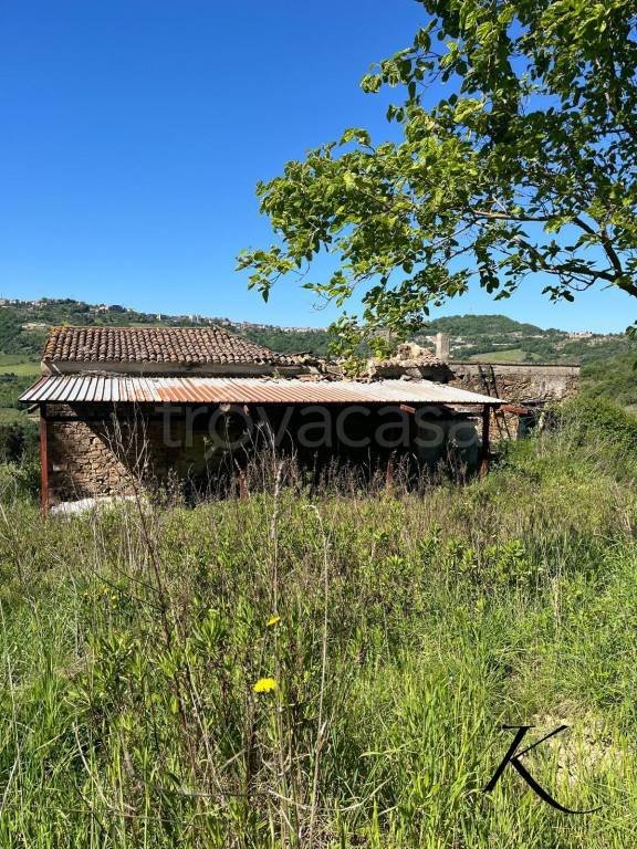 terreno agricolo in vendita a Prignano Cilento