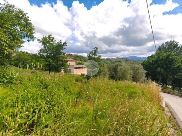 terreno agricolo in vendita a Prignano Cilento in zona San Giuliano