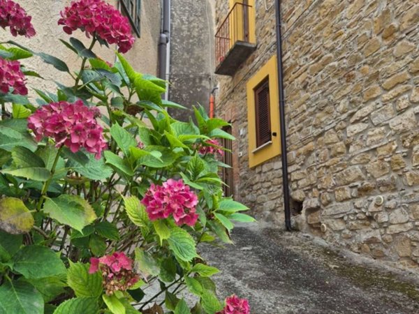 casa indipendente in vendita a Prignano Cilento in zona San Giuliano