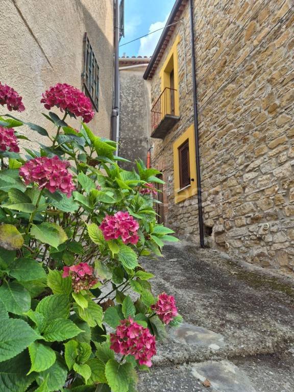 casa indipendente in vendita a Prignano Cilento in zona San Giuliano