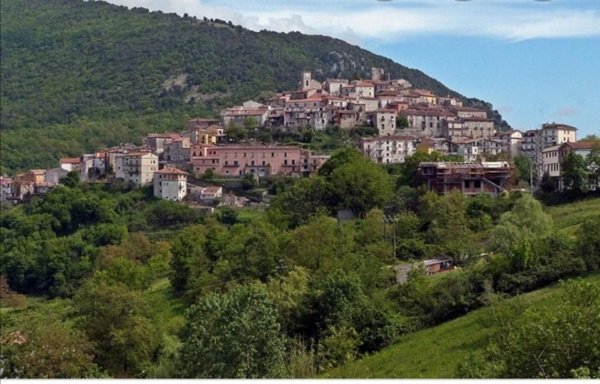 terreno agricolo in vendita a Prignano Cilento