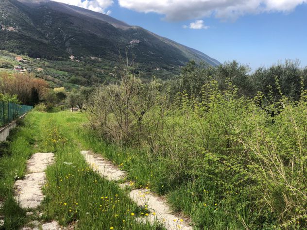 casa indipendente in vendita a Roccadaspide in zona Fonte