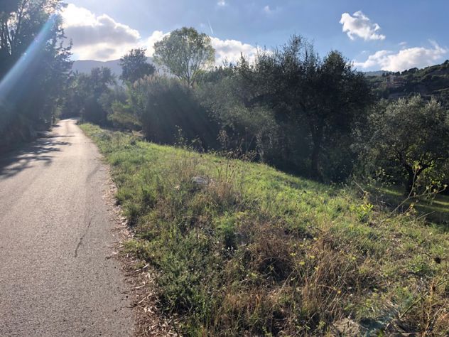 terreno agricolo in vendita a Roccadaspide