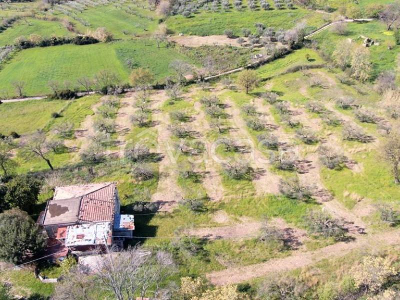 appartamento in vendita a Roccadaspide