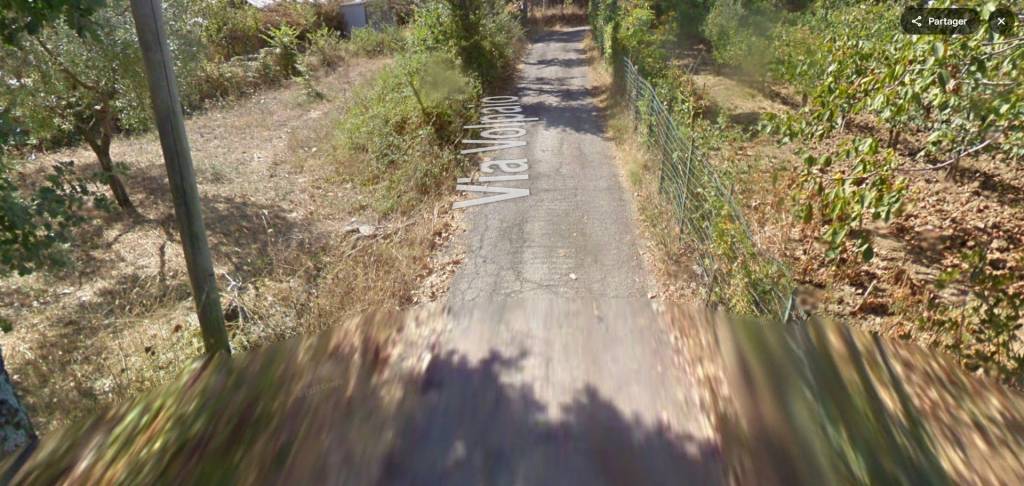 terreno agricolo in vendita a Roccadaspide