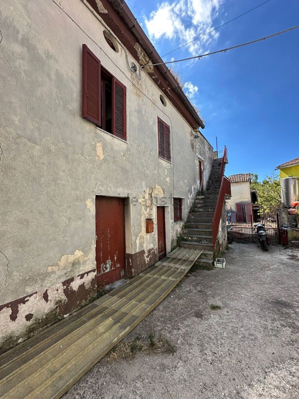 esavano in vendita a Roccadaspide