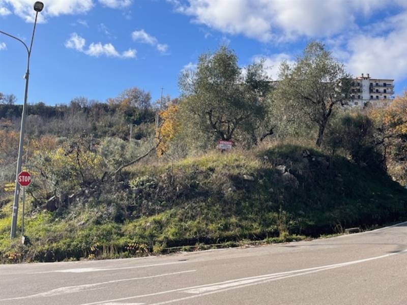 terreno agricolo in vendita a Roccadaspide