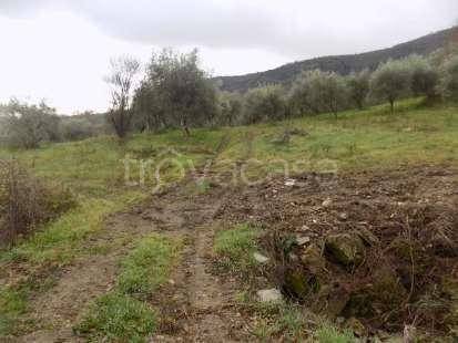terreno agricolo in vendita a Roccadaspide