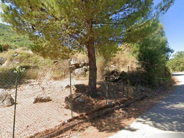 azienda agricola in vendita a Roccadaspide in zona Fonte