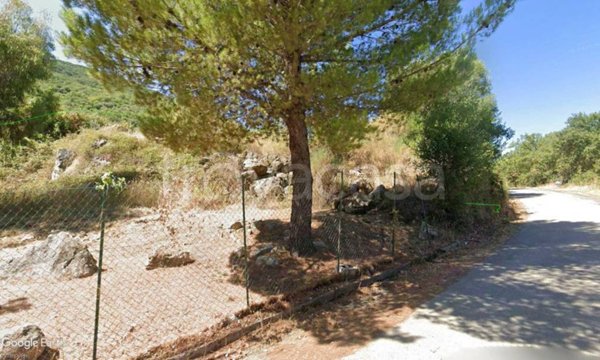 azienda agricola in vendita a Roccadaspide in zona Fonte