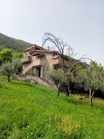 terreno agricolo in vendita a Roccadaspide