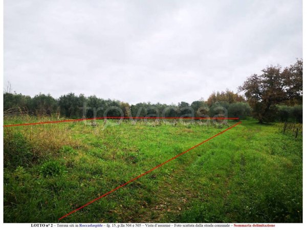 terreno agricolo in vendita a Roccadaspide in zona Carretiello